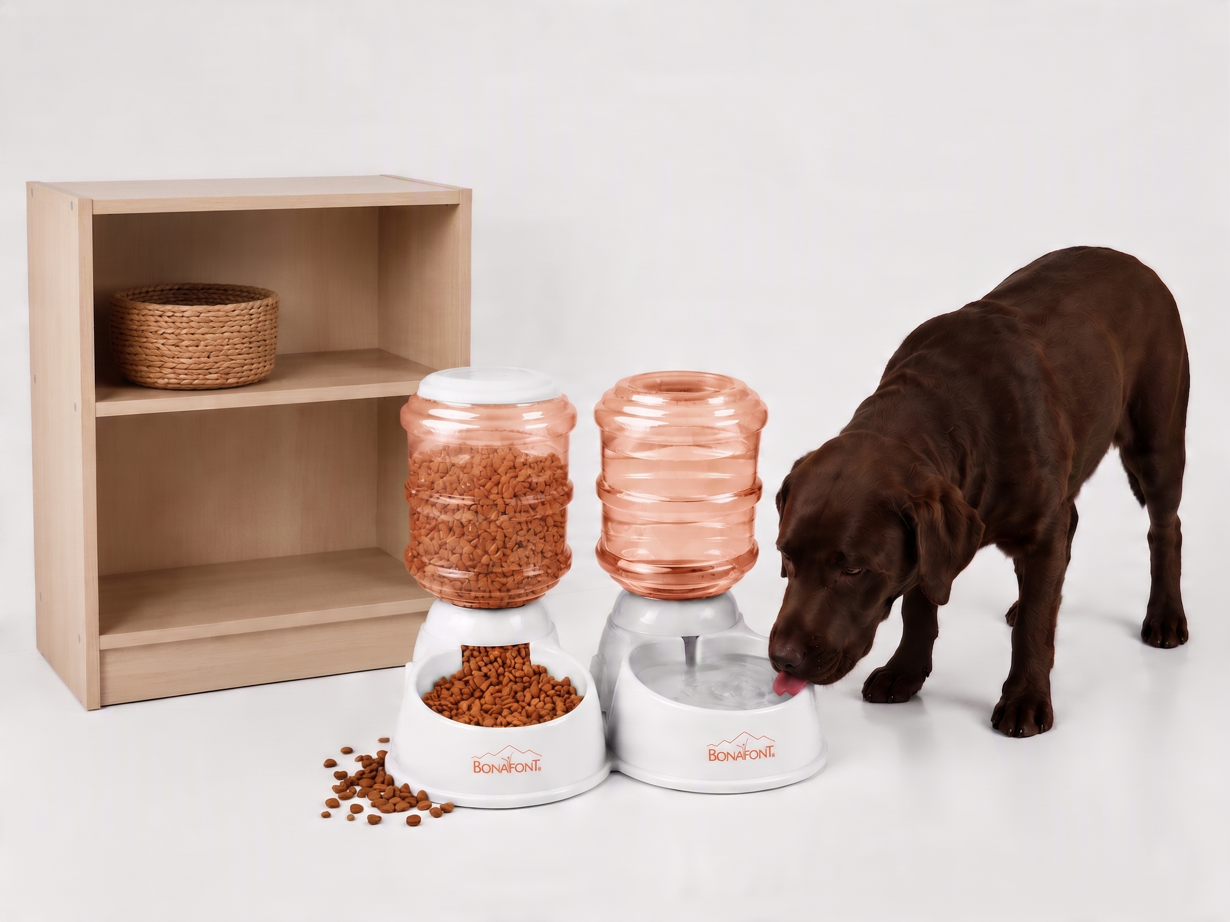 Bonafont — Pet Automatic Dispenser